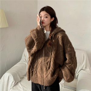 Women Autumn Winter Oversize Knitted