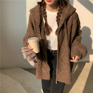 Women Autumn Winter Oversize Knitted