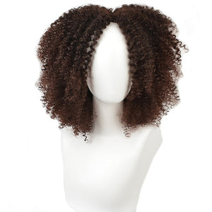 Short Afro Kinky Curly Wigs Ombre Brown Synthetic Middle Part Nature Hair Black Daily Party Headgear with Clips