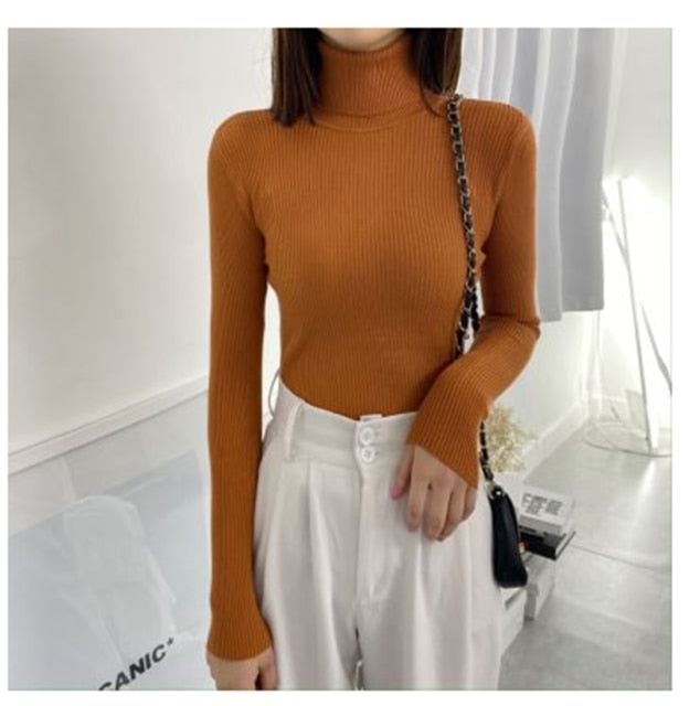 Women Turtleneck Sweaters