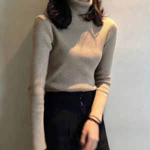 Women Turtleneck Sweaters