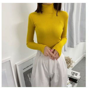 Women Turtleneck Sweaters