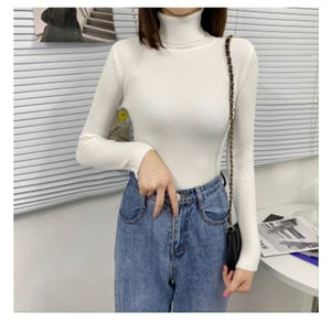 Women Turtleneck Sweaters