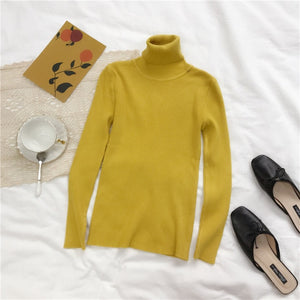 Thick Sweater Women Knitted