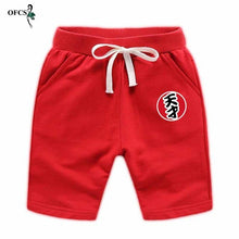 Load image into Gallery viewer, Clothes Summer Boys Girls Beach Shorts 2-12 Years Young Toddler Cotton
